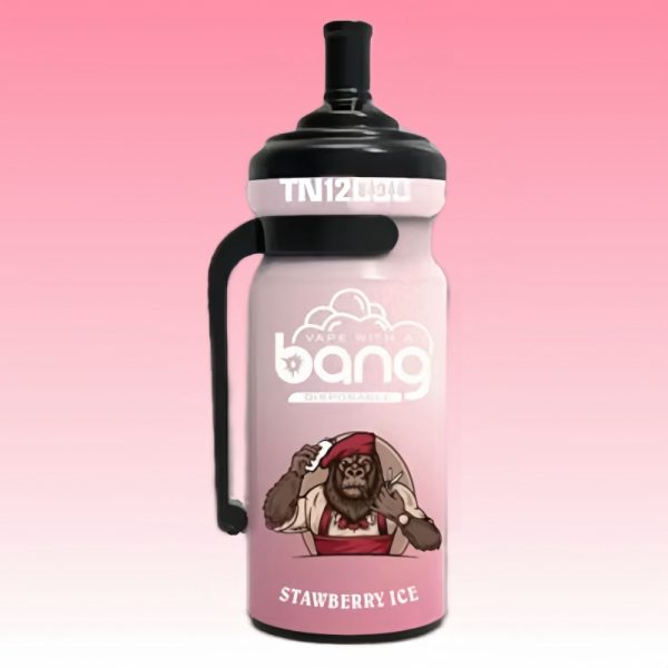Bang Tn 12000 Puffs | Vape Kopen Bang Tn 12000 Puffs | Vape Kopen