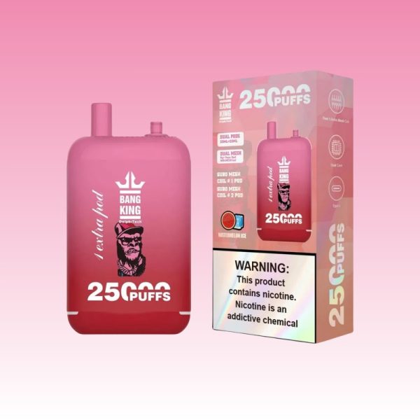 Bang King 25000 Puffs | Vape Kopen Bang King 25000 Puffs | Vape Kopen