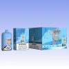 Fumot Digital Box 12000 Puffs | Vape Kopen