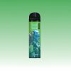 Randm Tornado 8000 Puffs | Vape Kopen Randm Tornado 8000 Puffs | Vape Kopen
