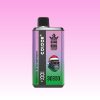 Bang King 30000 Puffs | Vape Kopen Bang King 30000 Puffs | Vape Kopen