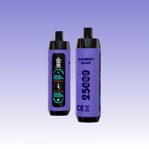 Bang King Shisha 25000 Puffs | Vape Kopen Bang King Shisha 25000 Puffs | Vape Kopen