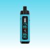 Bang King Shisha 25000 Puffs | Vape Kopen Bang King Shisha 25000 Puffs | Vape Kopen