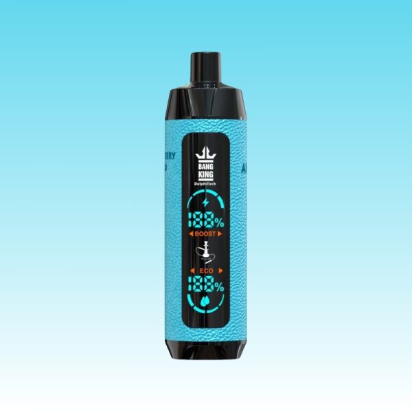 Bang King Shisha 25000 Puffs | Vape Kopen Bang King Shisha 25000 Puffs | Vape Kopen
