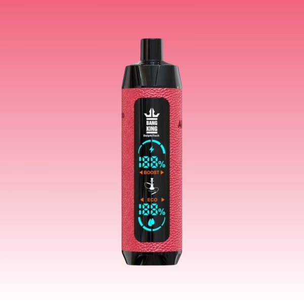 Bang King Shisha 25000 Puffs | Vape Kopen Bang King Shisha 25000 Puffs | Vape Kopen
