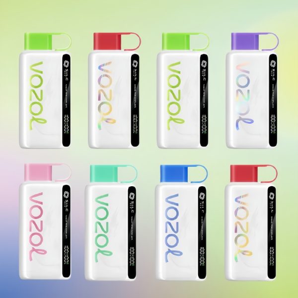 VOZOL Star 12000 Puffs | Vape Kopen VOZOL Star 12000 Puffs | Vape Kopen
