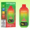 Bang King City 50000 Puffs | Vape Kopen Bang King City 50000 Puffs | Vape Kopen