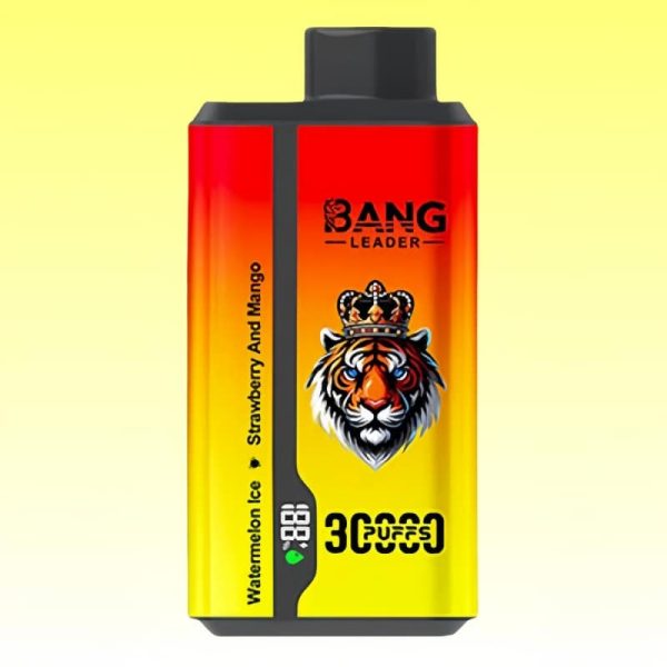 Bang Leader 30000 Puffs | Vape Kopen Bang Leader 30000 Puffs | Vape Kopen