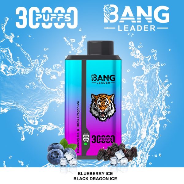 Bang Leader 30000 Puffs | Vape Kopen Bang Leader 30000 Puffs | Vape Kopen