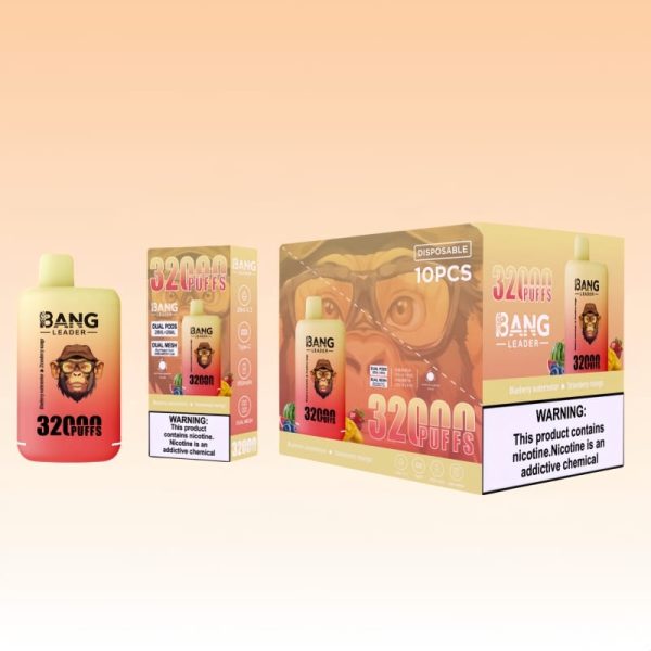 Bang Leader 32000 Puffs | Vape Kopen Bang Leader 32000 Puffs | Vape Kopen
