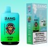 Bang Leader 45000 Puffs | Vape Kopen