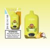 Aivono Aim Freak 13000 Puffs | Vape Kopen Aivono Aim Freak 13000 Puffs | Vape Kopen