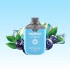 Tastefog Arena 800 Puffs | Vape Kopen Tastefog Arena 800 Puffs | Vape Kopen