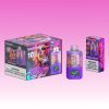Waspe Box 20000 Puffs | Vape Kopen Waspe Box 20000 Puffs | Vape Kopen