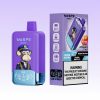 Waspe Aiviou 40000 Puffs | Vape Kopen Waspe Aiviou 40000 Puffs | Vape Kopen