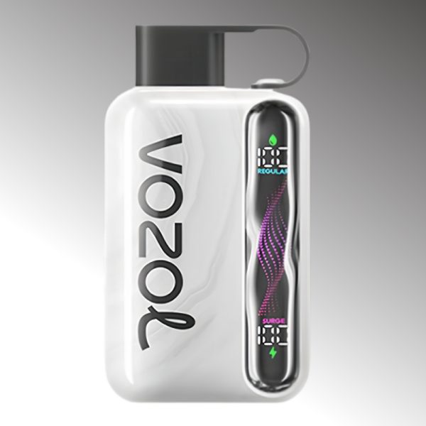 Vozol Star 40000 Puffs | Vape Kopen Vozol Star 40000 Puffs