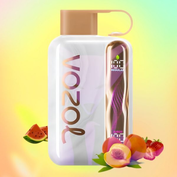 Vozol Star 40000 Puffs | Vape Kopen Vozol Star 40000 Puffs
