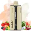 Vapsolo Quads 80000 puffs | Vape Kopen Vapsolo Quads 80000 puffs | Vape Kopen