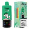 Bang Leader 85000 Puffs | Vape Kopen