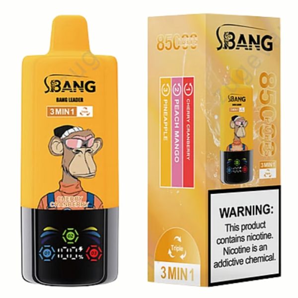 Bang Leader 85000 Puffs | Vape Kopen Bang Leader 85000 Puffs | Vape Kopen