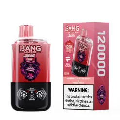 Bang Leader 120k Puffs | Vape Kopen Bang Leader 120k Puffs | Vape Kopen