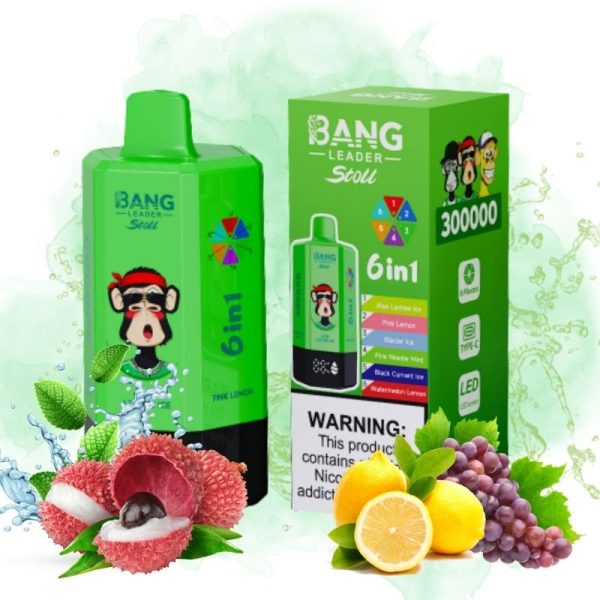 Bang Leader 300k Puffs | Vape Kopen Bang Leader 300k Puffs | Vape Kopen