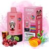 Bang Leader 300k Puffs | Vape Kopen Bang Leader 300k Puffs | Vape Kopen